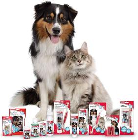 img 2 attached to 🐾 Beaphar Toothbrush and Toothpaste Pack for Pets (Pet-775094)