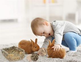 img 1 attached to 🐰 Organic Woven Grass Bed for Rabbit, 3 Pack: Chewable Apple Wood Stick Toys with Hay Rabbit Basket Bedding Mat - Ideal for Bunny, Guinea Pig, Hamster, Chinchilla, Rat, and Other Small Animals