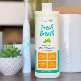 img 1 attached to 🦷 Dentist Recommended Oxyfresh Fresh Breath Fresh Mint Mouthwash - Alcohol & Fluoride Free (1-16 oz Bottle): Long-Lasting Fresh Breath & Healthy Gums