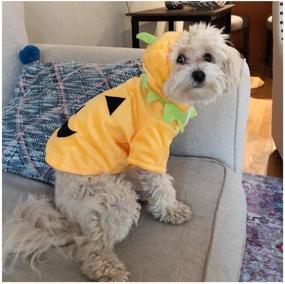 img 4 attached to NACOCO Dog Pumpkin Costume Cat Halloween Outfit 🎃 Puppy Fleece Hoodie Pet Jacket for Small to Medium Dogs