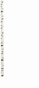 img 1 attached to 🌱 100-Pack Biodegradable Birch Bark Paper Straws for Birthdays, Weddings, Baby Showers, and Cyber Holiday 2019 Celebrations