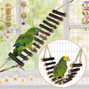 img 2 attached to Premium KATUMO Wood Bird Swing and Climbing Rope Ladder Set with Bells - Perfect Toys for Budgerigar, Parakeet, Conure, Cockatiel, and More!
