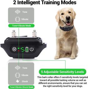 img 3 attached to 🐶 Rechargeable Waterproof Bark Collar with Beep Vibration Shock - Humane Anti-Shock Dog Barking Collar for Small & Large Dogs - 5-Levels Sensitivity