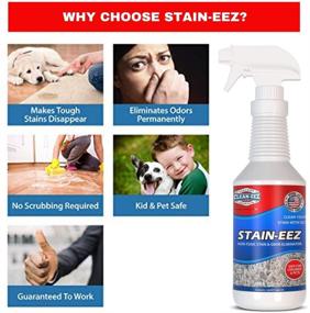 img 3 attached to Clean-eez Stain-eez: Advanced Carpet Cleaner Spray with Pro-Biotics & Enzyme Technology for Effective Removal of New & Old Stains & Odors. Top-rated Pet Carpet Cleaner.