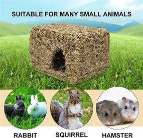 img 1 attached to 🐇 Natural Grass Foldable Bed Hut for Rabbits, Small Animals - Handcrafted Hideaway, Hideout Hut Toy Playhouse