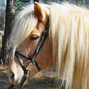 img 2 attached to Icelandic Horse Bridle by Exselle