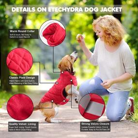 img 1 attached to Etechydra Dog Coat Jacket: Keep Your Pooch Warm and Stylish in Winter with Soft Fleece and Sweater Jacket