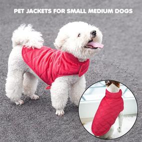 img 2 attached to Etechydra Dog Coat Jacket: Keep Your Pooch Warm and Stylish in Winter with Soft Fleece and Sweater Jacket