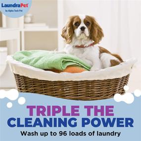 img 1 attached to 🐾 Premium Pet Laundry Detergent by LaundraPet: Eliminates Animal Odors and Stains | Perfect for Home, Clinic, or Kennel Use | Cost-Effective Pet Detergent | 64 Oz.