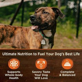 img 2 attached to 🐶 Wellness CORE 95% натуральный влажный корм для собак без зерна, пища с высоким содержанием белка, банка объемом 12.5 унций (упаковка из 12 штук), натуральный, полезный, для взрослых собак маленького/среднего/крупного размера