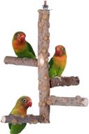 enhance your parrots' comfort with the kintor bird perch natural wood stand for 3-4pcs small medium parrots logo