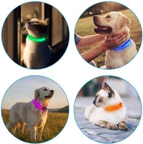 img 1 attached to 🐶 Enhance Pet Safety with Tekkery Light Up Dog Collar: USB Rechargeable LED Flashing Collar for Night Visibility in Small, Medium, and Large Dogs