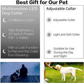 img 3 attached to 🐶 Enhance Pet Safety with Tekkery Light Up Dog Collar: USB Rechargeable LED Flashing Collar for Night Visibility in Small, Medium, and Large Dogs