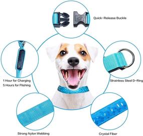 img 2 attached to 🐶 Enhance Pet Safety with Tekkery Light Up Dog Collar: USB Rechargeable LED Flashing Collar for Night Visibility in Small, Medium, and Large Dogs