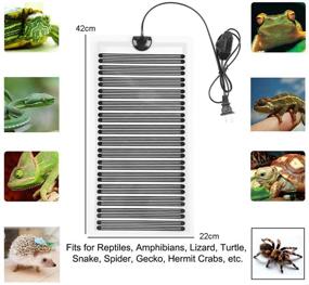 img 3 attached to Fashionclubs Reptile Terrarium Temperature Controller Reptiles & Amphibians