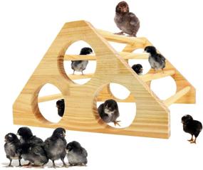 img 4 attached to 🐔 Premium Handmade Chicken Perch Stand Swing for Hens and Chicks in Jungle Gym Style - Hammer Wood Coop