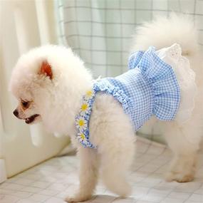 img 2 attached to 👗 Doggystyle 2 Pack Dog Dresses Girl Pet Clothes: Blue Yellow Plaid Princess Skirts for Puppy Cats – Spring Summer Tutu Lace Birthday Party Outfits (Blue+Yellow,M)