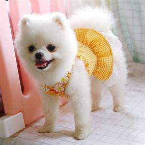 img 3 attached to 👗 Doggystyle 2 Pack Dog Dresses Girl Pet Clothes: Blue Yellow Plaid Princess Skirts for Puppy Cats – Spring Summer Tutu Lace Birthday Party Outfits (Blue+Yellow,M)