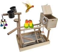 🦜 parrots playground: bird play gym with perch stand, climbing ladders, swinging toys, nest box, feeding cups, and tray - perfect for conure, cockatiel, lovebirds logo