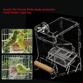 img 3 attached to HEEPDD Transparent Container Automatic Budgerigar