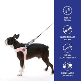 img 2 attached to Gooby Simple Step In III Harness - No Pull Small Dog Harness with Scratch Resistant Outer Vest - On the Go Soft Inner Mesh Dog Harness for Medium Dogs No Pull and Small Dogs for Indoor and Outdoor Use: A Reliable and Convenient Harness Option