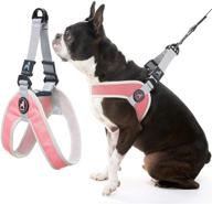 gooby simple step in iii harness - no pull small dog harness with scratch resistant outer vest - on the go soft inner mesh dog harness for medium dogs no pull and small dogs for indoor and outdoor use: a reliable and convenient harness option logo