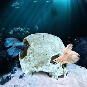 img 1 attached to Tfwadmx Resin Aquarium Skull Decor - Fish Tank Cave Decorations Hideout for Betta Fish & Reptiles - Perfect for Small Fish & Shrimp