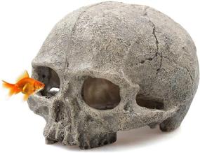 img 4 attached to Tfwadmx Resin Aquarium Skull Decor - Fish Tank Cave Decorations Hideout for Betta Fish & Reptiles - Perfect for Small Fish & Shrimp