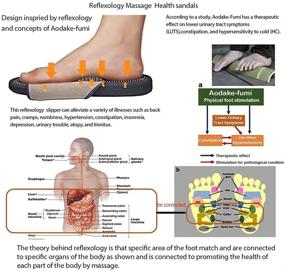 img 2 attached to HONYUN Absorbing Circulation Миофасциальная акупунктура