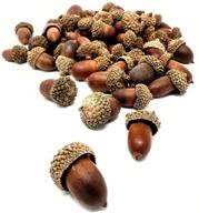 r.e.c. acorns: versatile half pound acorns and caps for crafts, decorations, and centerpieces! logo