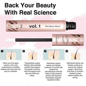 img 1 attached to 🌱 Liaison Brow Bond Eyebrow Growth Serum - Peptide Brow Enhancement for Longer, Fuller, and Thicker Eyebrows - Vegan, Cruelty-Free, Paraben-Free, and Talc-Free - Formula Free of Irritation