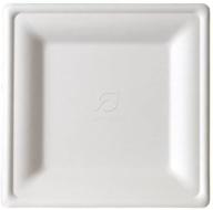 🍽️ eco-products, inc. renewable & compostable square sugarcane plates, 8-inch dinner plate, case of 500 (ep-p022), white, square 8" plate logo