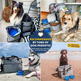 img 1 attached to Petgather Dog Travel Bag: Lifetime Pet-Friendly Tour Guide - Ideal Dog Travel Kit for Camping, Road Trips, and Traveling - Easy Organizing Accessories for Pet Lovers