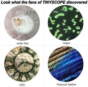 img 2 attached to TINYSCOPE Microscope Observation Magnification Smartphones