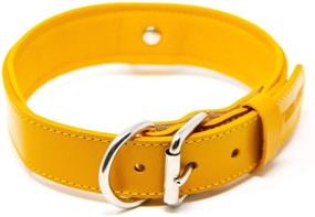 img 4 attached to Premium Full Grain Leather Collar with Deluxe Padding - Logical Leather's Finest