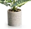 wellyi plants artificial potted bathroom logo