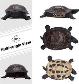 img 3 attached to Turtle Garden Decoration Outdoor 3 8×5 7×1 6