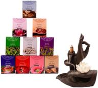 🕯️ premium masala back flow hand rolled incense cones variety pack - 10 assorted fragrances, 8 cones each, total 80 cones, no burner included (10, masala back flow cones) логотип