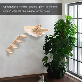 img 1 attached to 🐱 Expand Your Cat's Territory with the Wooden Cat Wall Furniture: A Wall-Mounted Cat Hammock with Sisal Scratching, Climbing Shelves & Perch Bed for Optimal Kitty Comfort and Entertainment