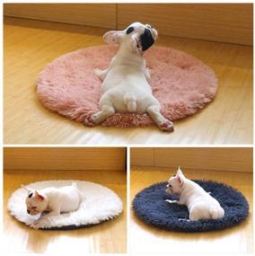 img 2 attached to 🐱 Vivi Bear Cat Bed: Extra Soft Round Pet Nest for Cats & Small-Medium Dogs - Comfortable, Washable & Cute!