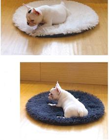 img 1 attached to 🐱 Vivi Bear Cat Bed: Extra Soft Round Pet Nest for Cats & Small-Medium Dogs - Comfortable, Washable & Cute!