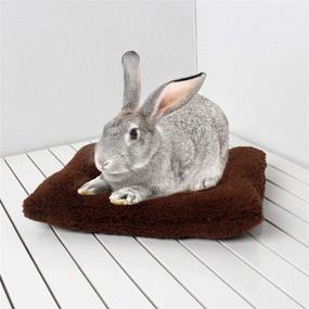 img 2 attached to 🐹 Rypet Guinea Pig Bed - Plush Square Sleep Mat Pad for Squirrel, Hedgehog, Rabbit, Chinchilla, and Small Animals - Warm and Cozy, Random Color
