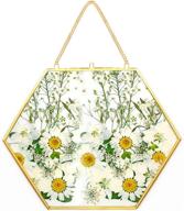 🖼️ enhance your décor with outgeek floating frame - artbyhannah gallery wall décor set, hexagon glass frame - perfect for preserving and displaying pressed flowers, 8.26 inches - glass frame only логотип