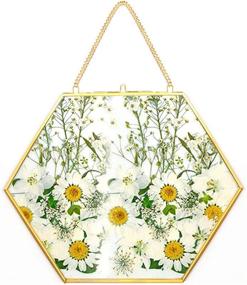 img 4 attached to 🖼️ Enhance Your Décor with Outgeek Floating Frame - Artbyhannah Gallery Wall Décor Set, Hexagon Glass Frame - Perfect for Preserving and Displaying Pressed Flowers, 8.26 Inches - Glass Frame Only