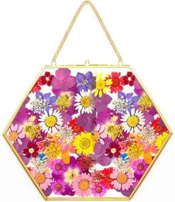 img 2 attached to 🖼️ Enhance Your Décor with Outgeek Floating Frame - Artbyhannah Gallery Wall Décor Set, Hexagon Glass Frame - Perfect for Preserving and Displaying Pressed Flowers, 8.26 Inches - Glass Frame Only