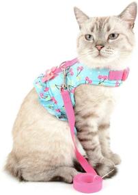 img 3 attached to 🐶 No Pull Small Dog Girl Harness Dress, Escape Proof Cat Kitten Vest Harness and Leash Set, Step-in Soft Padded Cotton Colorful Floral Jacket Puppy Chihuahua Clothes with Cute Bow for Walking by Zunea