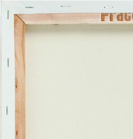 img 2 attached to 🎨 Practica Economy Pre Stretched Canvas - Value Box of 20, 16x20", Cotton Artist Acid Free Primed Painting Canvas 5/8" Deep