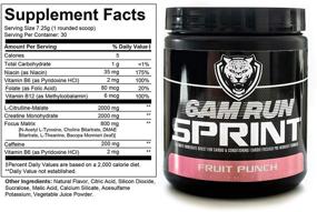 img 3 attached to 🏃 6AM RUN Sprint - Fruit Punch Pre Workout Powder for High Energy Cardio and Focus - All Natural, Keto, Vegan Formula - No Jitters