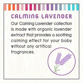 img 1 attached to 🌿 All Natural, Hypoallergenic Baby Wash - Little Twig: Calming Lavender Scent, Lemon & Tea Tree Oils - 17 Fl Oz (BW1601)