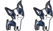 daisies boston terrier shaped earrings logo